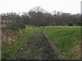 Bridleway heading to Nettleden Road