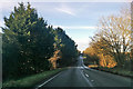 A30 towards Salisbury