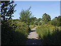 Calder Valley Greenway east of Church Lane