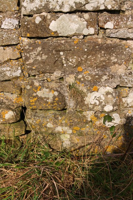 Benchmark on Hurgill Road wall near High Gingerfield