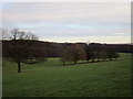 The Deer Park, Wentworth Woodhouse