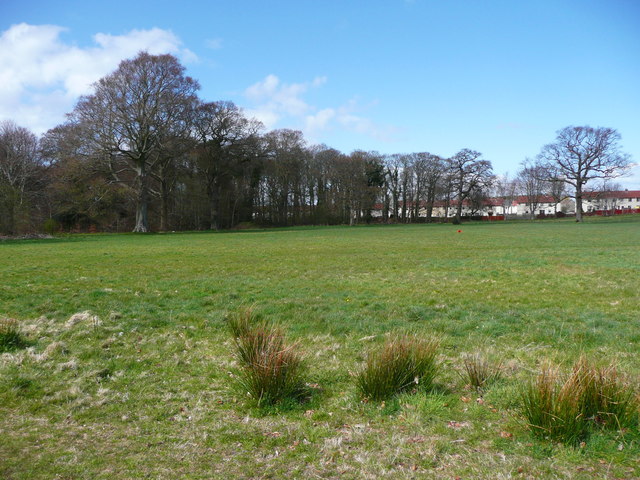 Grassland in the Craigie Estate