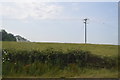 Telegraph pole in field