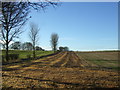 Stubble field and hedgerow, Howe Hill