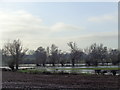 Flooded fields near Buryend Farm