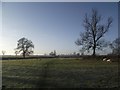 Bridleway from Countesthorpe to Westdale Farm