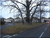 TQ0281 : Love Lane at the junction of Langley Park Road by David Howard