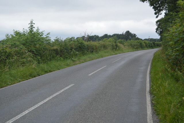 Borde Hill Lane