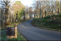 NS2310 : Road to the Visitor Centre, Culzean by Billy McCrorie