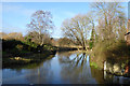 Mill stream upstream of mill, Harnham