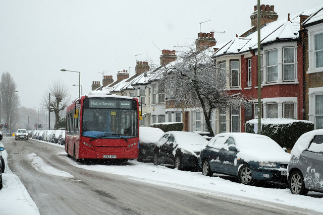 Snowy Squires Lane
