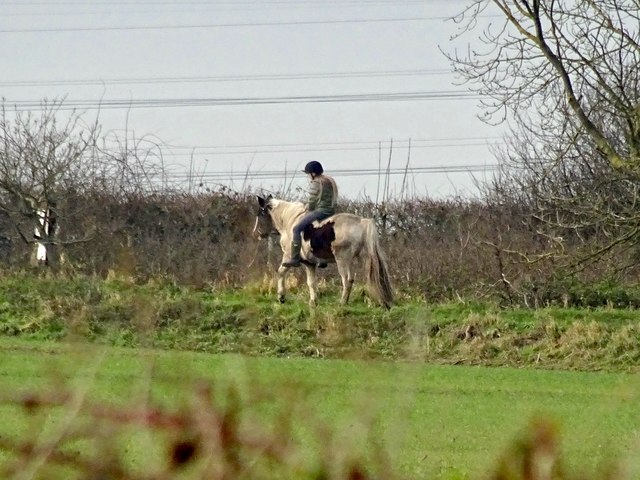 Horse and rider at Hell Meadow