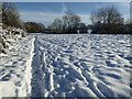 Snow covered field