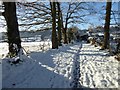 Snowy path