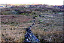 SD8089 : View from George Mea Rigg towards Crook Gill Rigg by Roger Templeman
