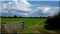 Grassland on the Lugg floodplain.