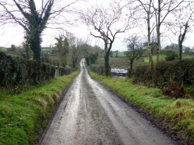 Whitehill Road, Creevanmore © Kenneth Allen :: Geograph Ireland