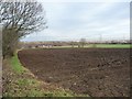 SE5309 : Field next to Adwick cemetery in winter by Christine Johnstone