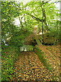 Ford and bridge through the River Neet