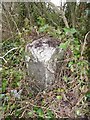 Old Milestone by the A354, Winterborne Monkton