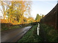 Raised footpath, Priory Road, Thurgarton