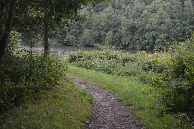 Footpath by Ardingly Reservoir