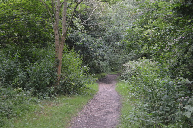 Footpath by Ardingly Reservoir