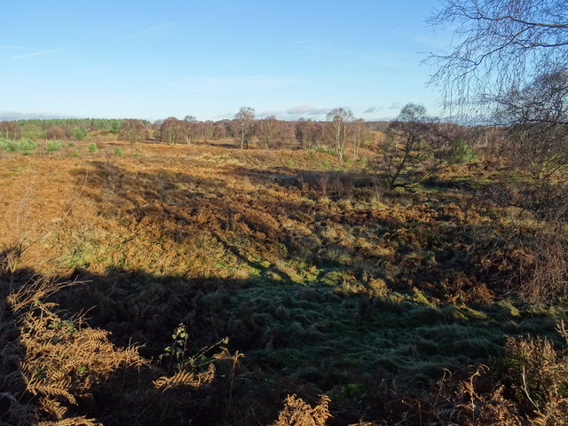 Rifle Range 'E' view from 300 yard... © John M cc-by-sa/2.0 :: Geograph ...