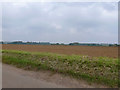 Ploughed field north of Tye Green Road