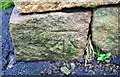 Benchmark on Shann Lane wall