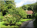 Roadway and Church Cottage, Lewcombe