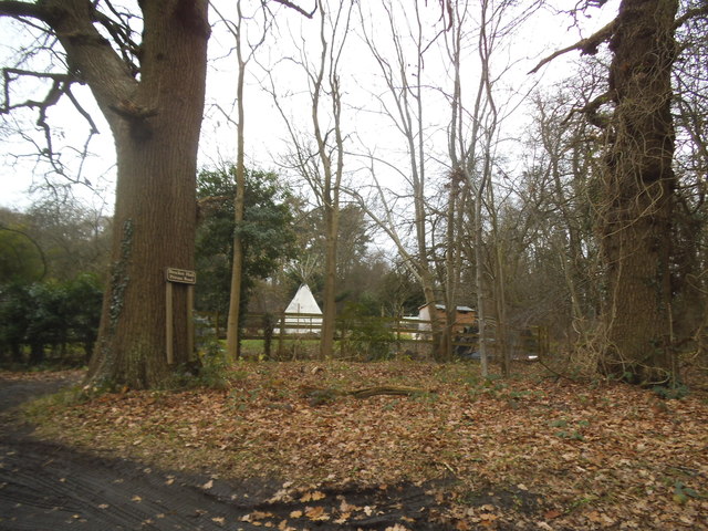 Woods on Ayot Green