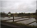 Water meadow by the River Mimram, Whitwell