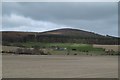 Spring arable seedbed and Corrennie Wood