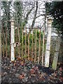 Rusty gate, Hillfoot