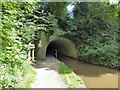 Woodley Tunnel Entrance