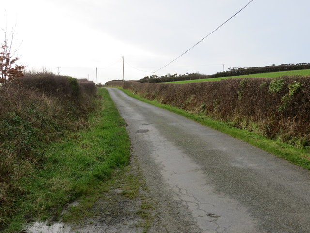 Hedge lined lane to Llanfechell