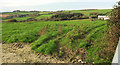 Farmland, Lower Sturthill