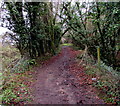 Public footpath, Lisvane, Cardiff