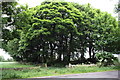 Gateway to field and circular wood from Long Lane