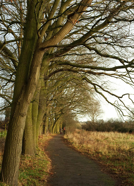 Harrogate Ringway © Derek Harper Cc-by-sa 2.0 :: Geograph Britain And 