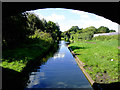 The Stourbridge Canal near Wordsley Junction, Dudley