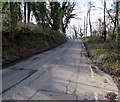 Llan Road towards Llangynwyd