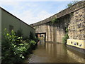 Ashton Canal Bridge 32