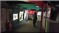 SE6052 : Displays in the Undercroft - York Minster by Phil Champion