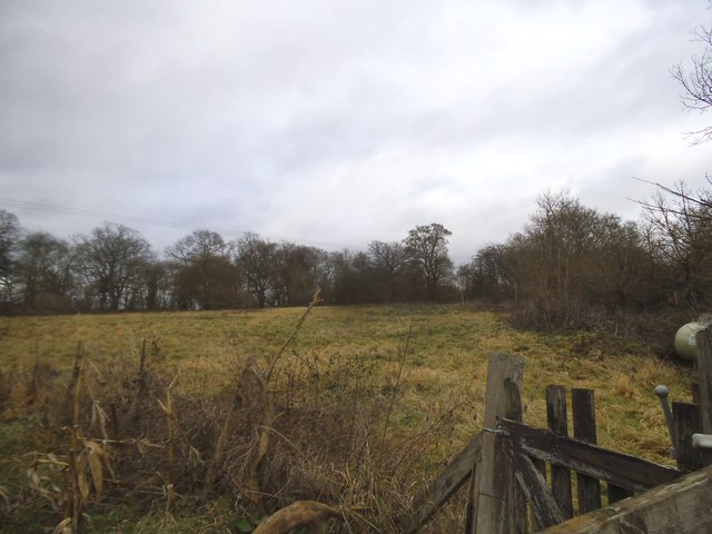 Field by Waterend Lane