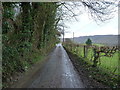 The lower lane in Dollwen