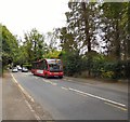 Bus stop on Hall Lane