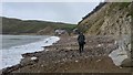 SY8279 : On the beach at Lulworth Cove, Dorset by Phil Champion