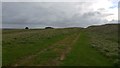 ST9603 : Ackling Dyke meets the outer rampart of Badbury Rings hill fort by Phil Champion
